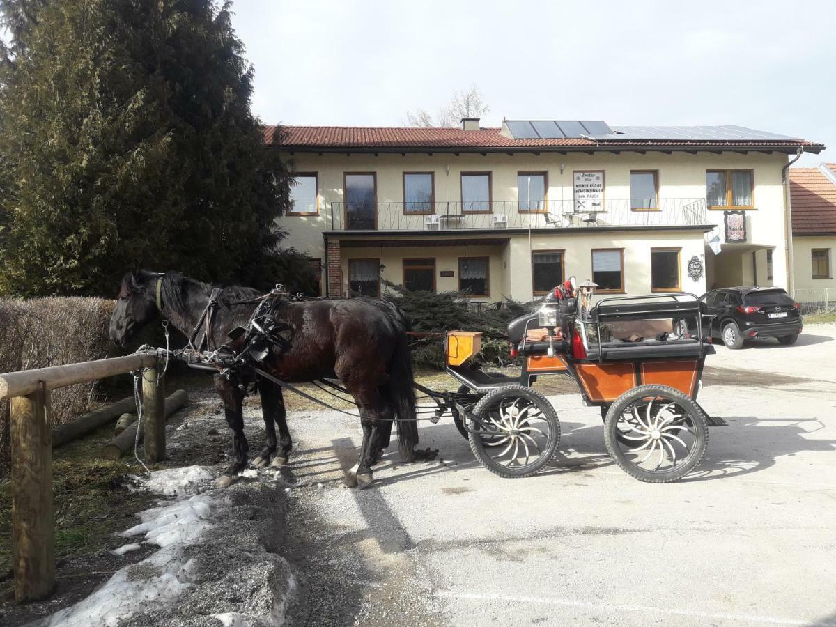 Hotel Dorfwirtshaus Rauch à Eschabruck Extérieur photo
